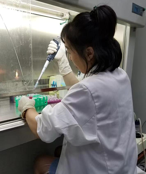 bevictor伟德官网