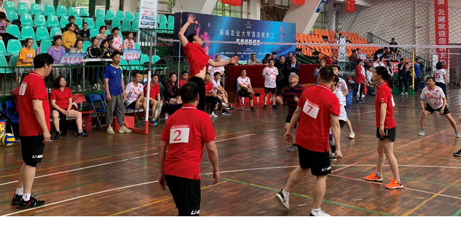 bevictor伟德官网