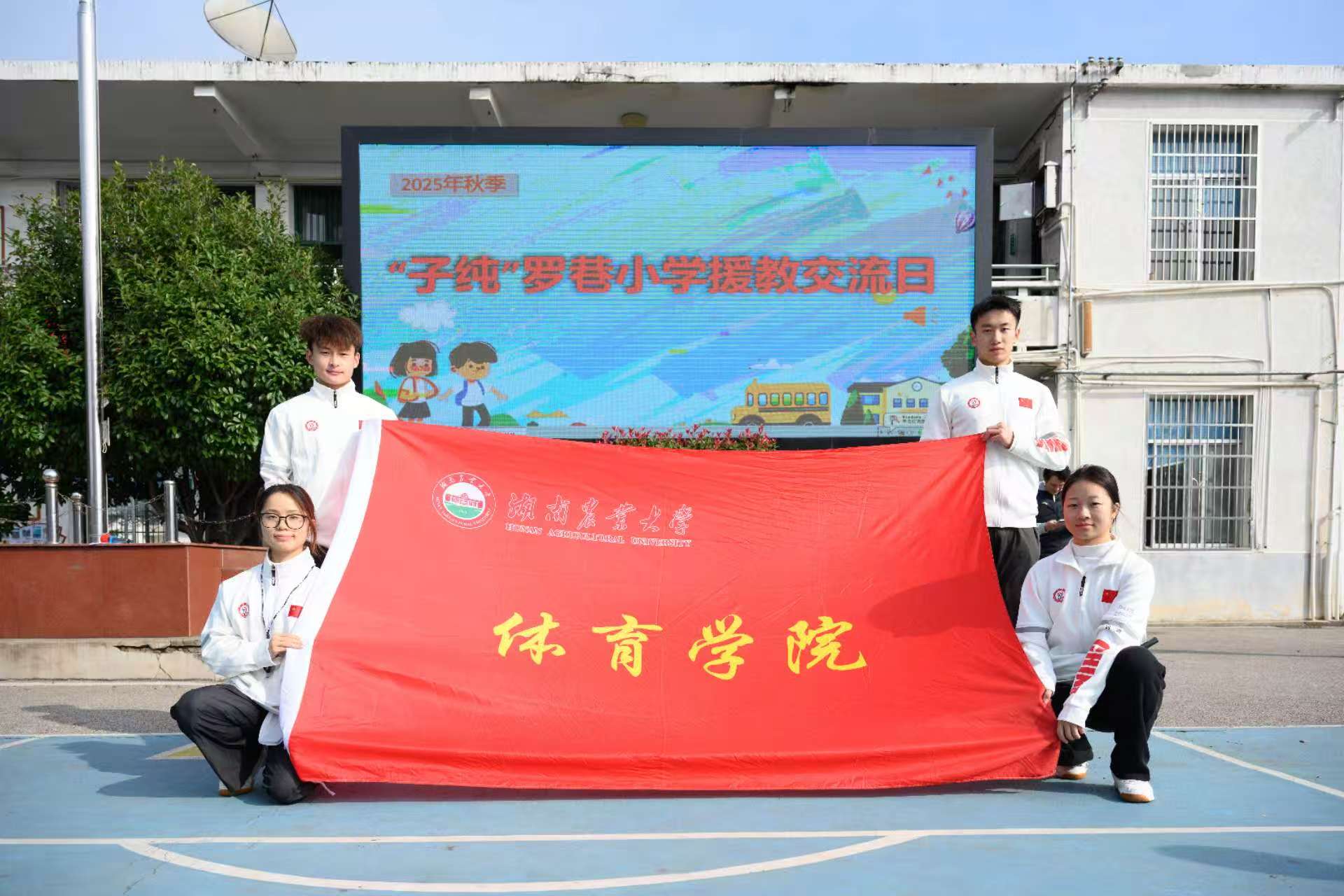 bevictor伟德官网