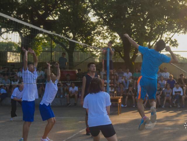 bevictor伟德官网