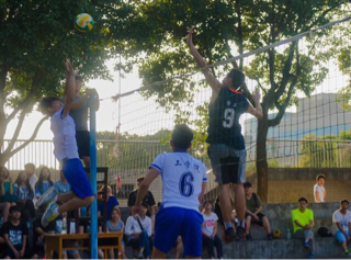 bevictor伟德官网