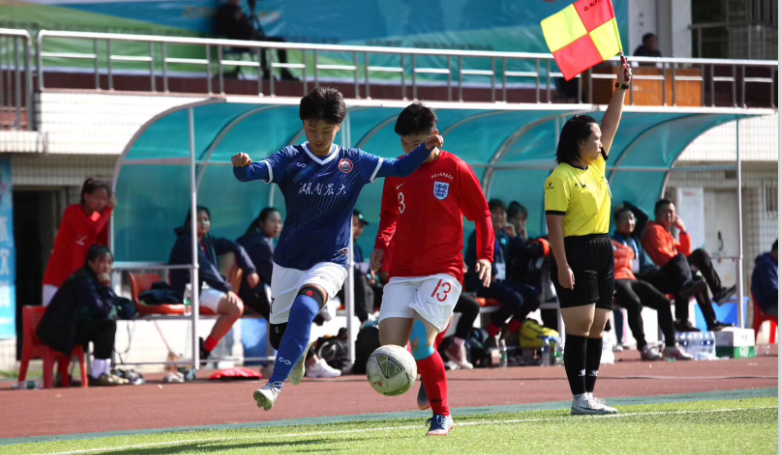 bevictor伟德官网