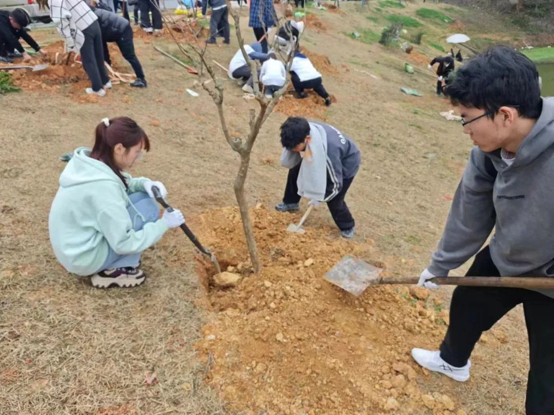 bevictor伟德官网