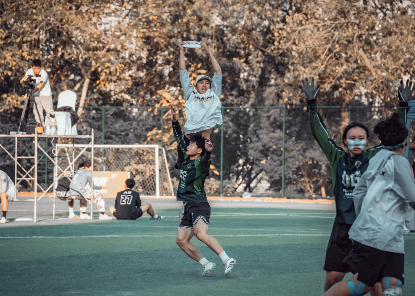 bevictor伟德官网