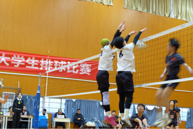 bevictor伟德官网