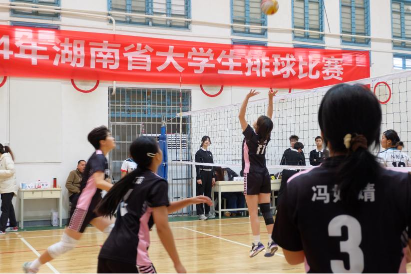 bevictor伟德官网