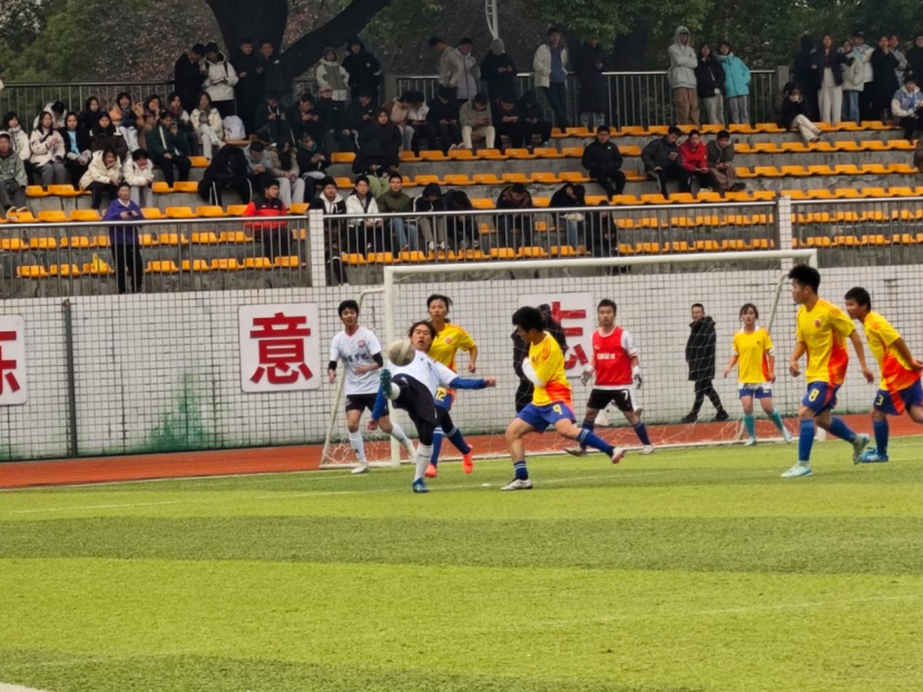 bevictor伟德官网