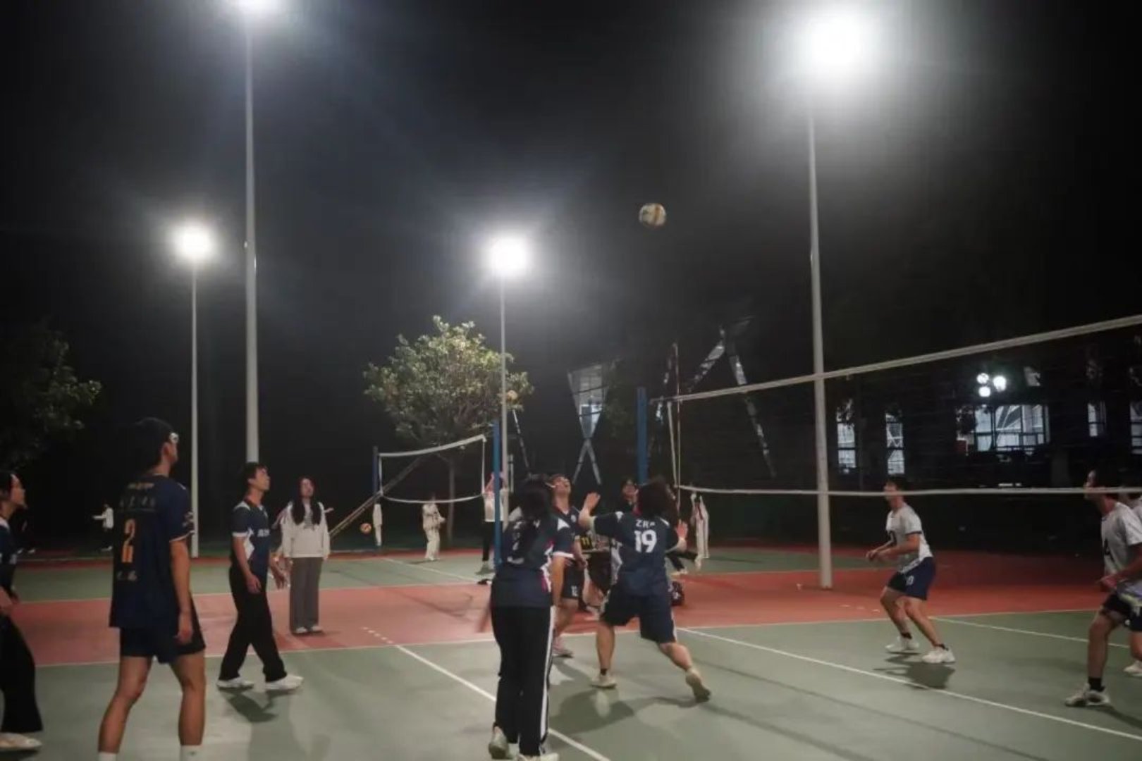 bevictor伟德官网