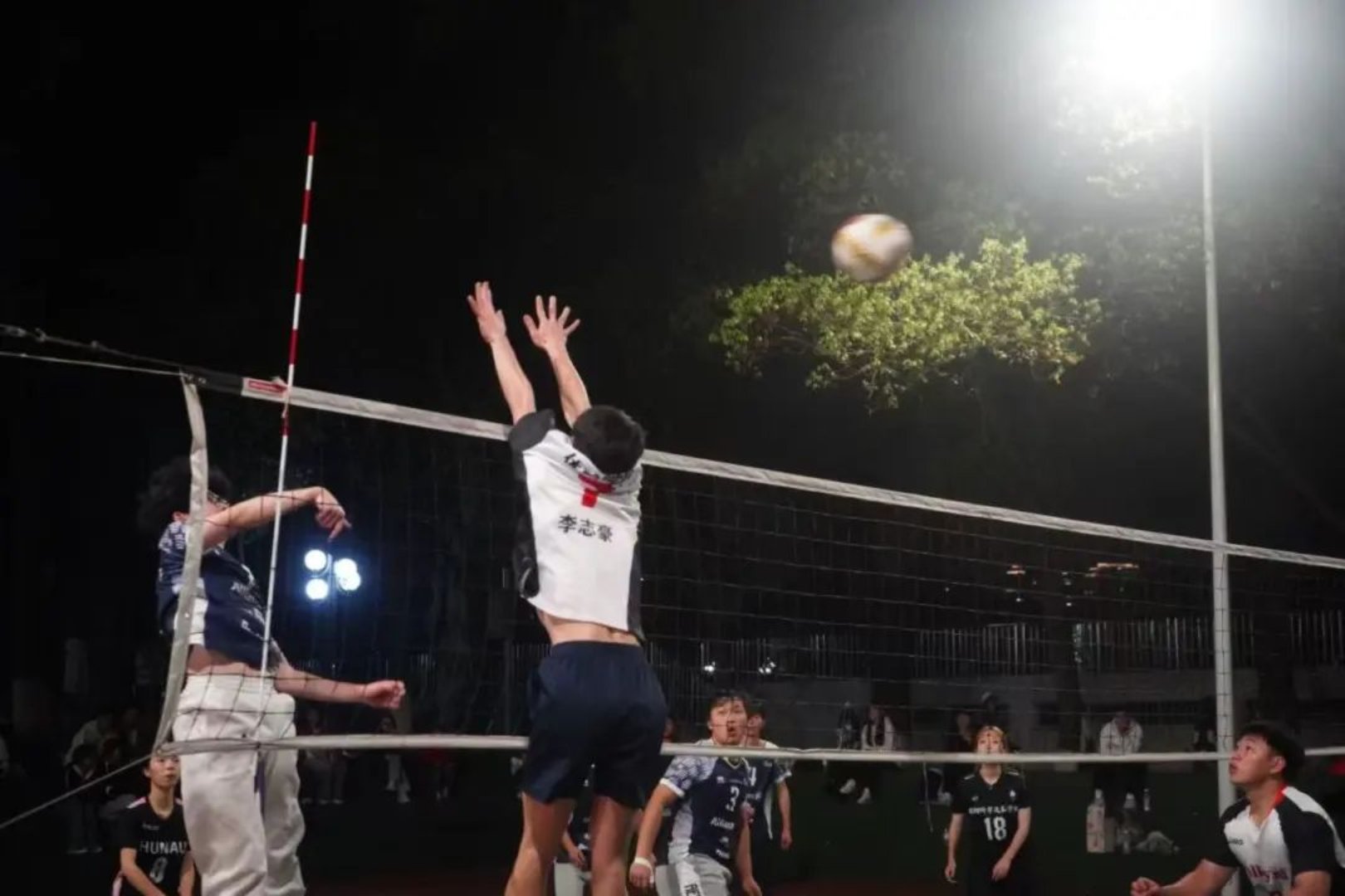 bevictor伟德官网