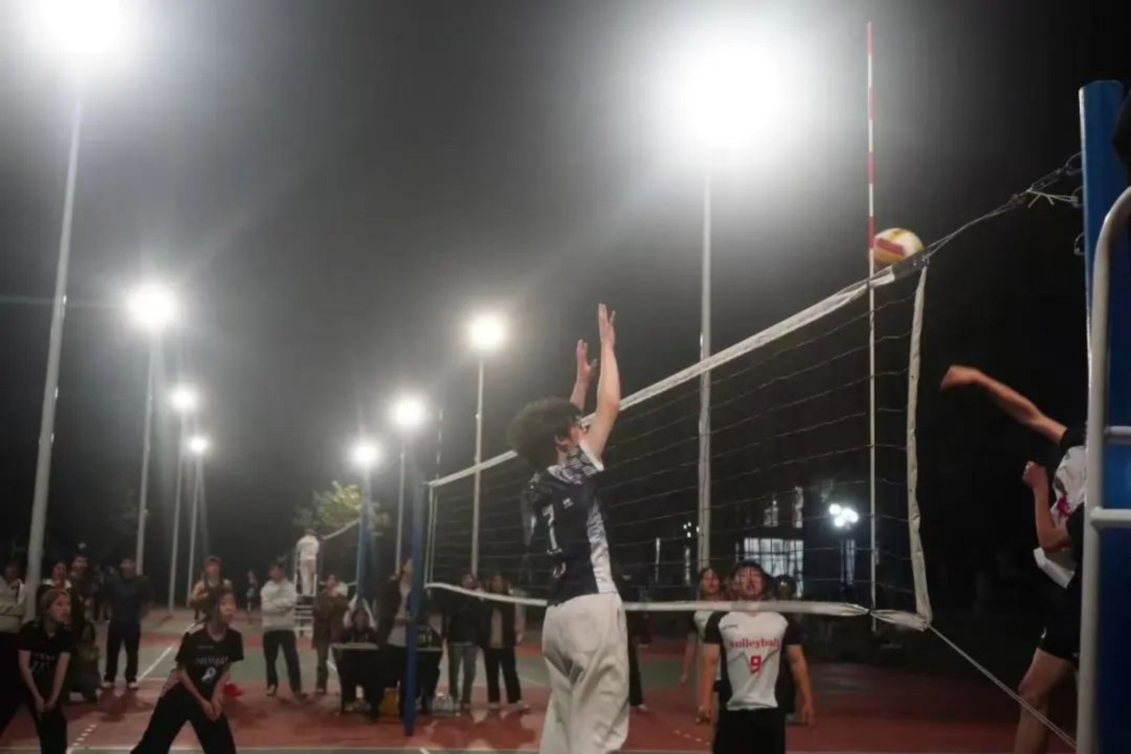 bevictor伟德官网