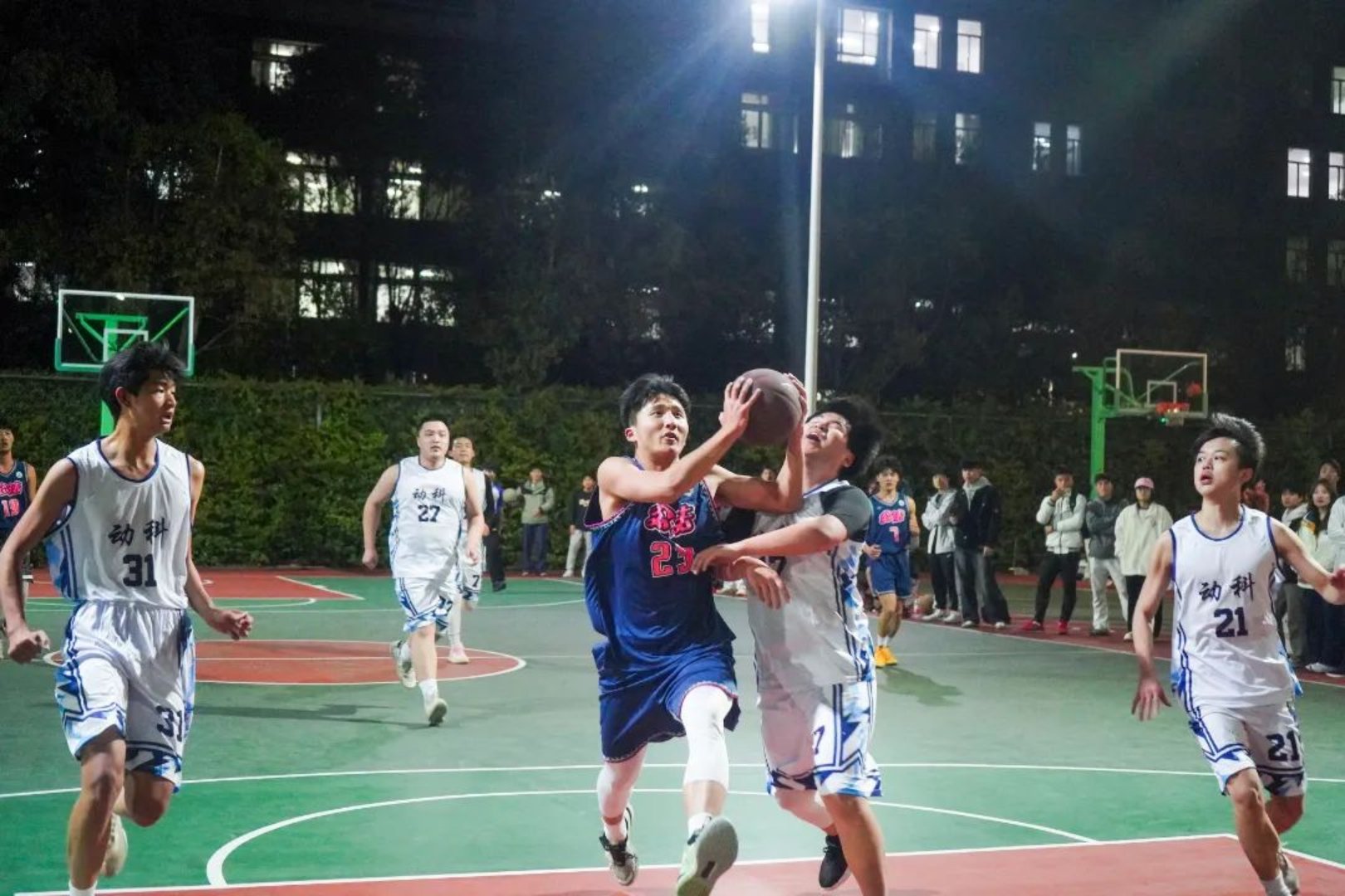 bevictor伟德官网