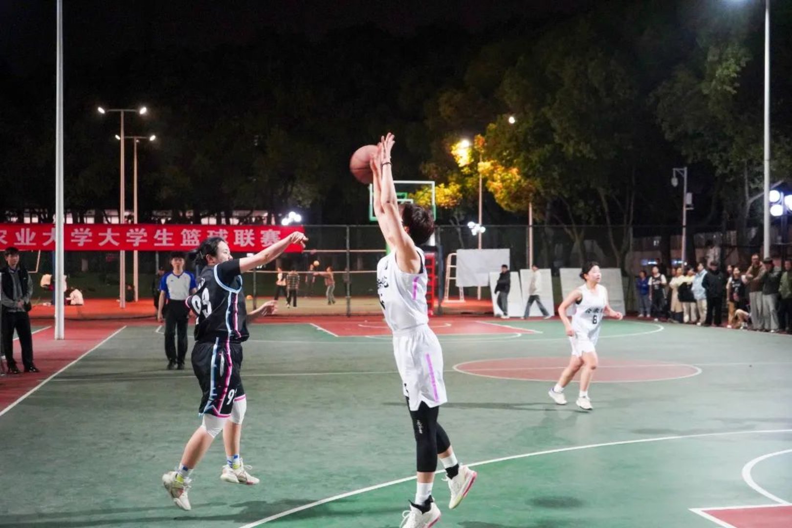 bevictor伟德官网