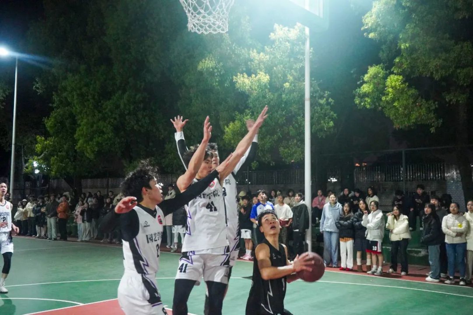 bevictor伟德官网