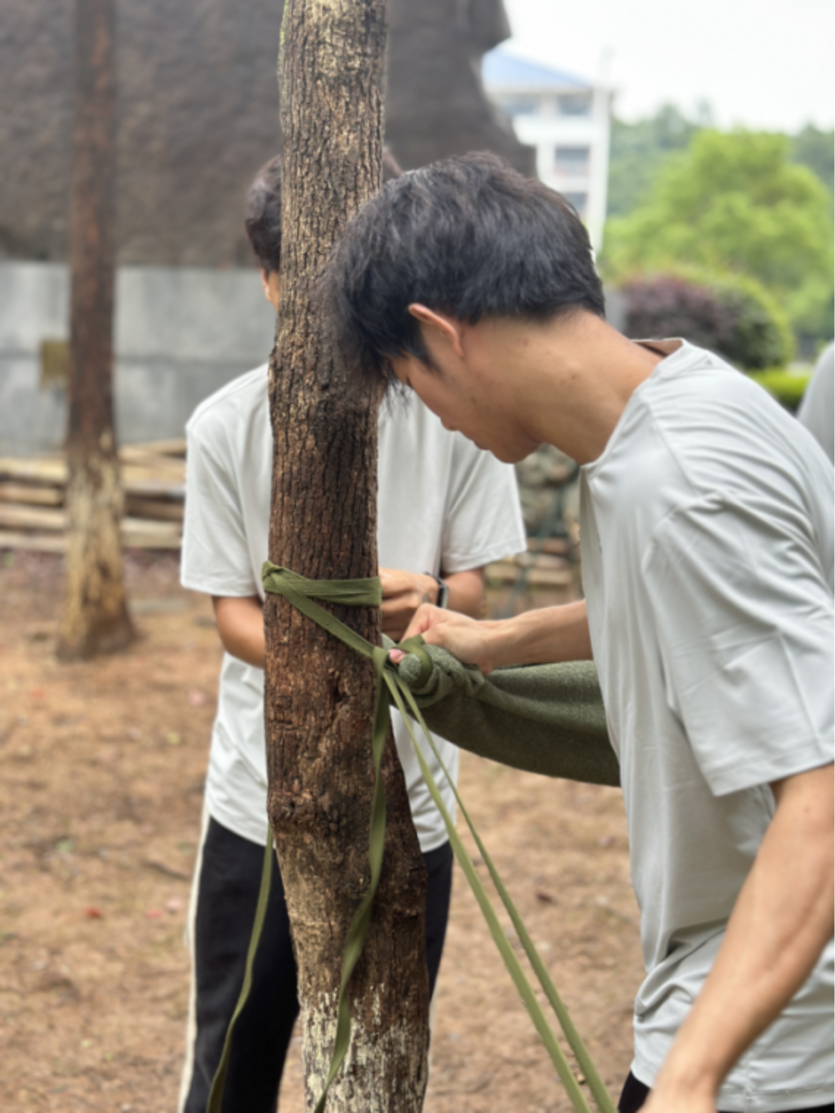 bevictor伟德官网