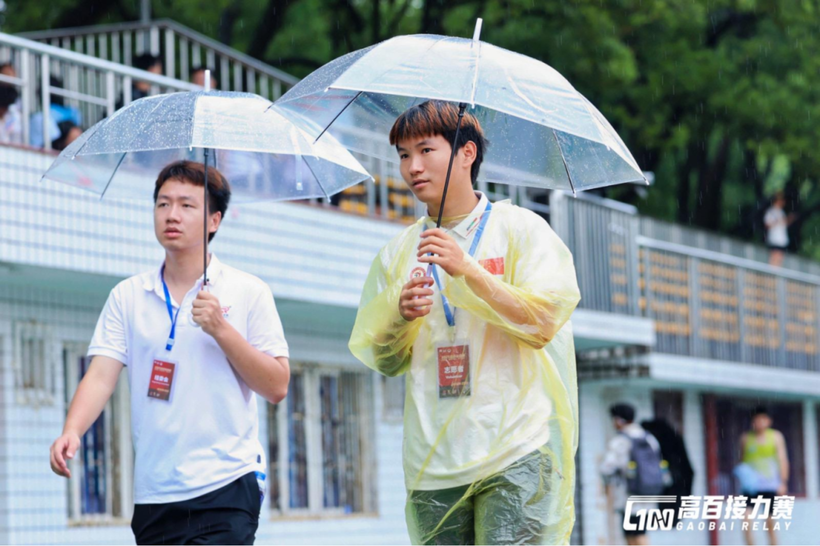 bevictor伟德官网