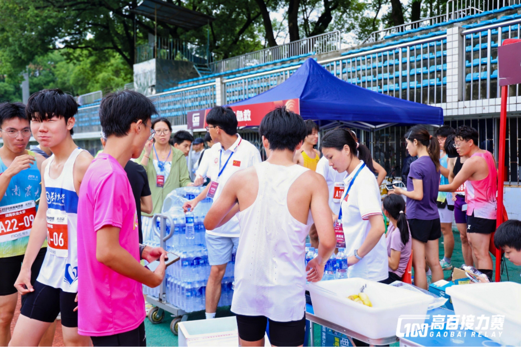 bevictor伟德官网