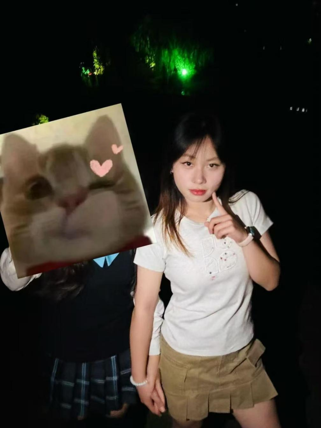 bevictor伟德官网