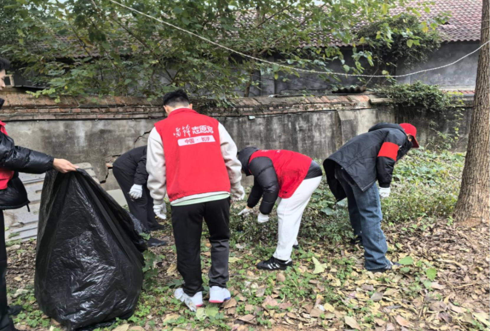 bevictor伟德官网