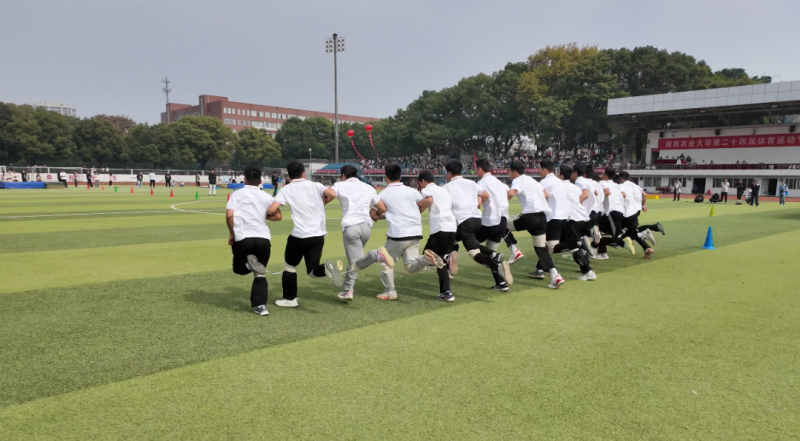 bevictor伟德官网