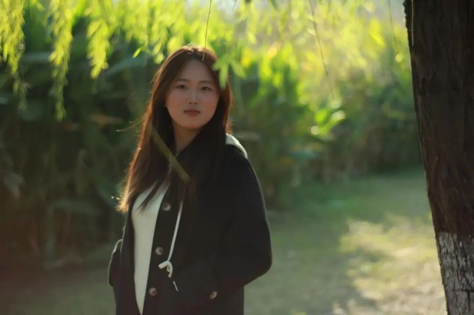 bevictor伟德官网