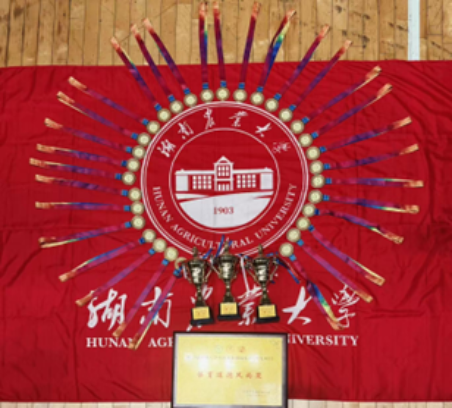 bevictor伟德官网