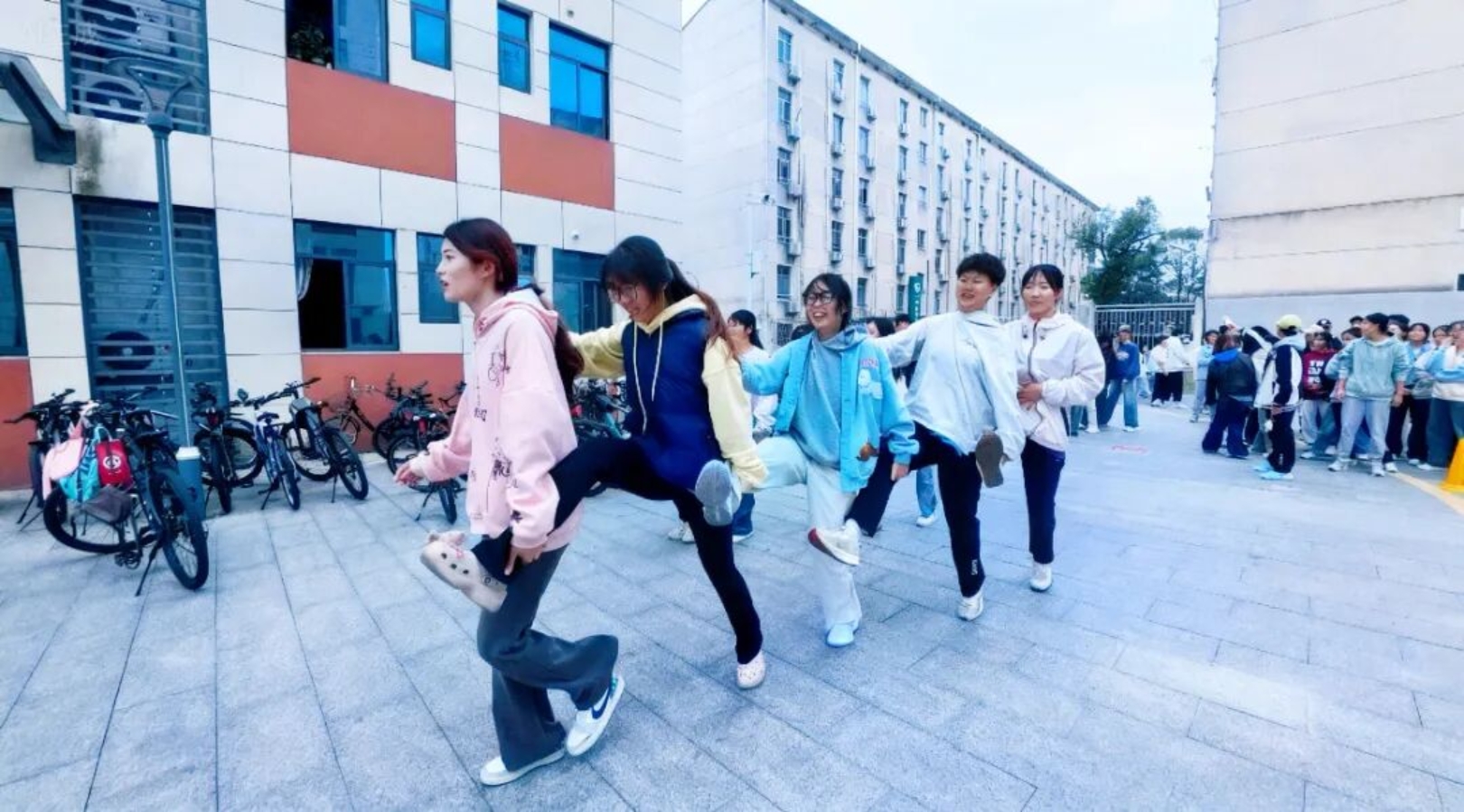 bevictor伟德官网