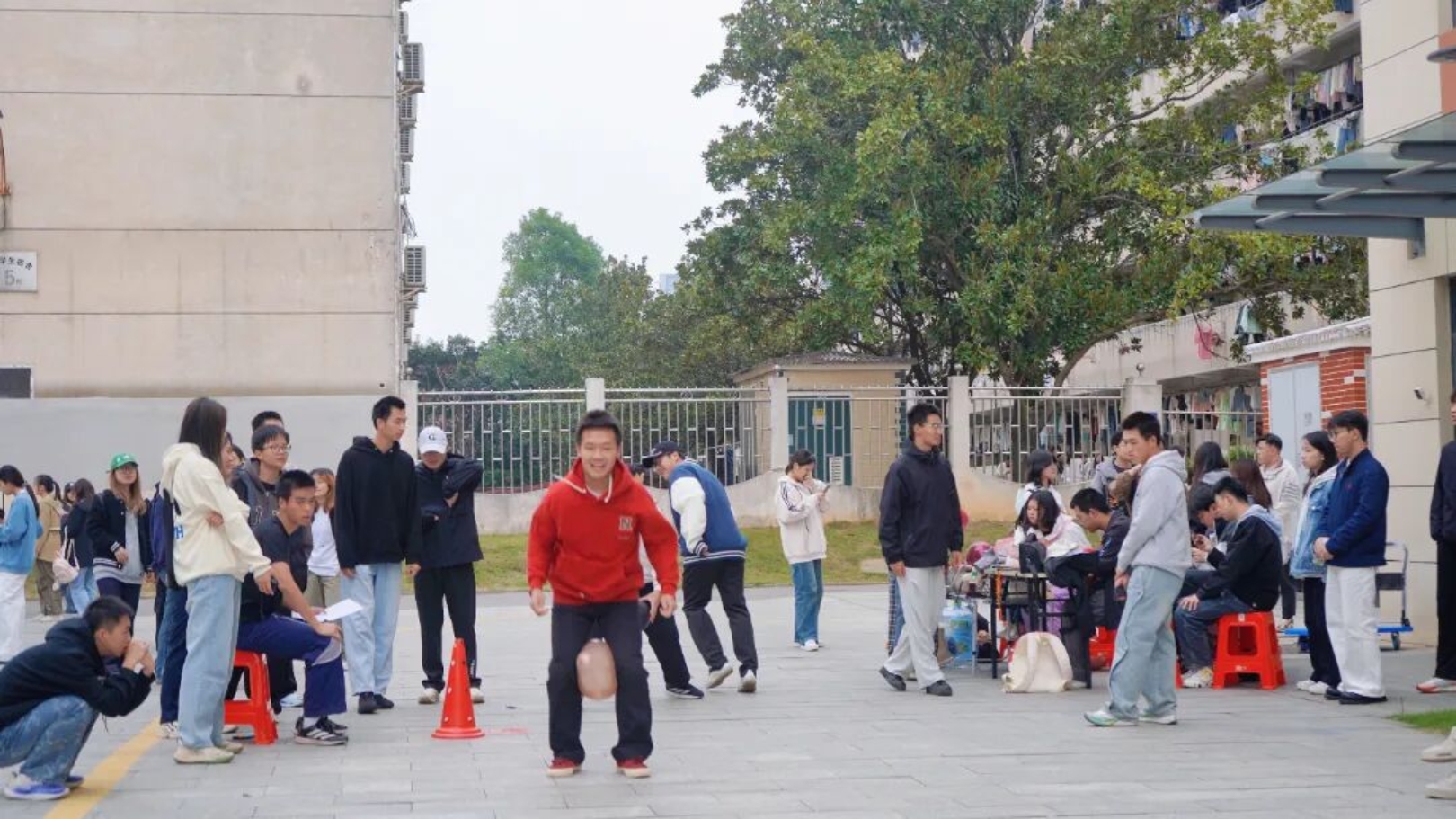 bevictor伟德官网