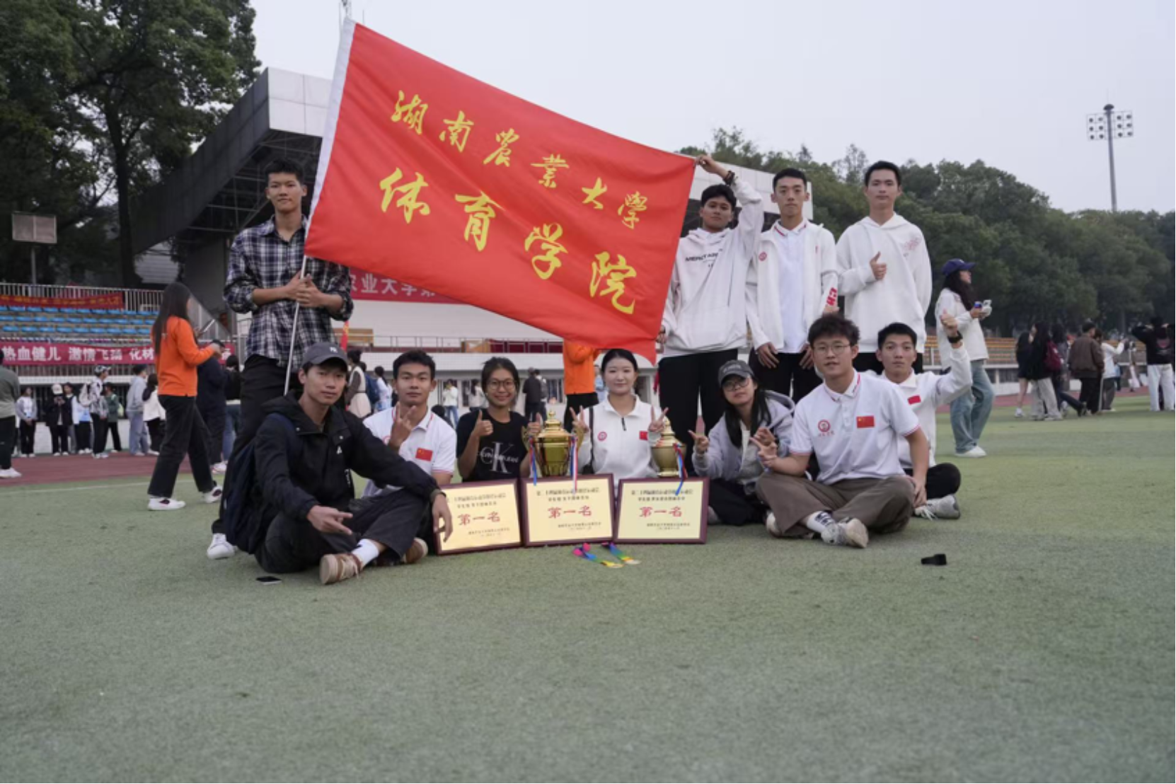 bevictor伟德官网