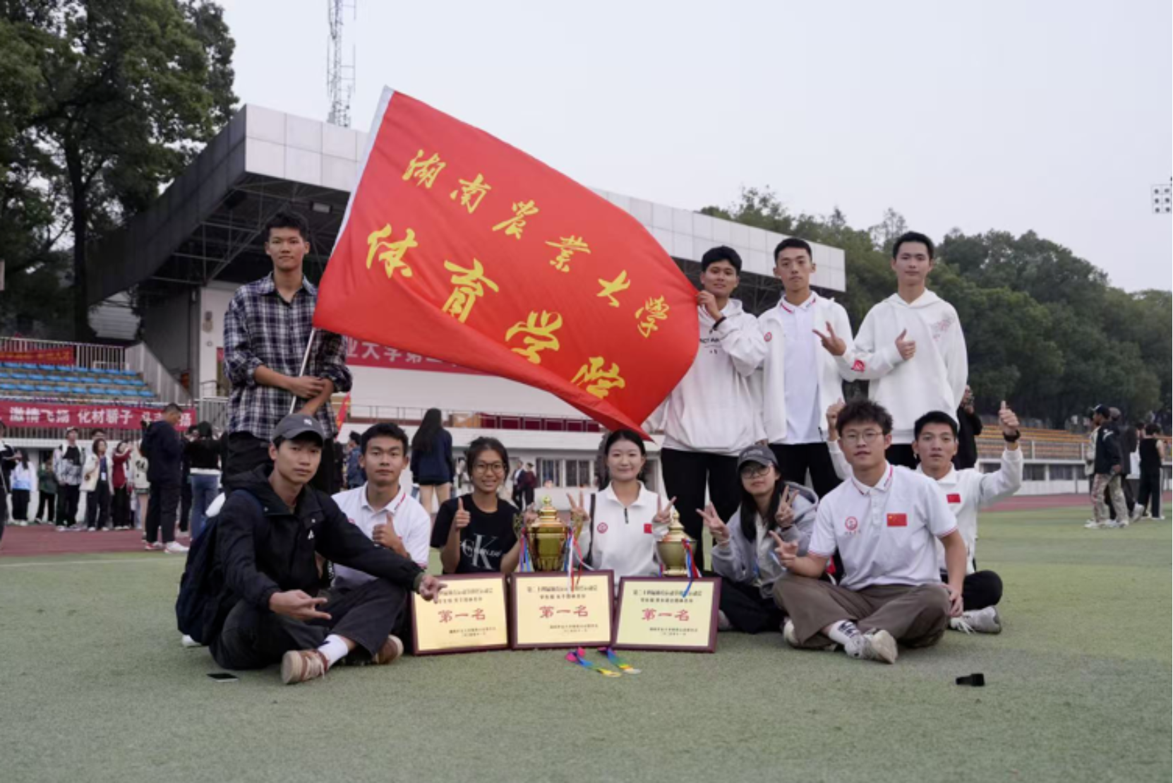 bevictor伟德官网