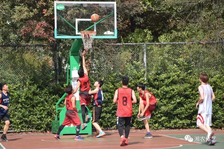 bevictor伟德官网