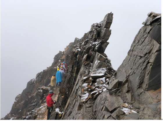 bevictor伟德官网