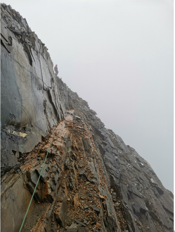 bevictor伟德官网