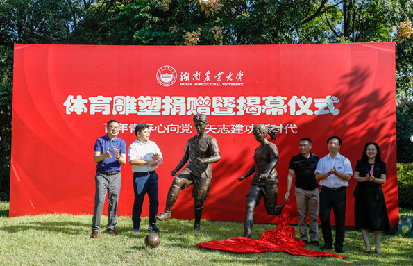 bevictor伟德官网