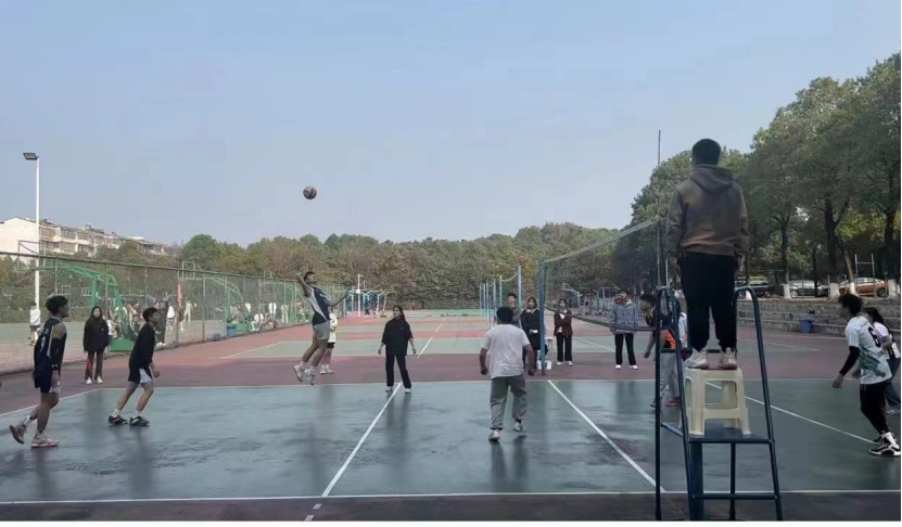 bevictor伟德官网