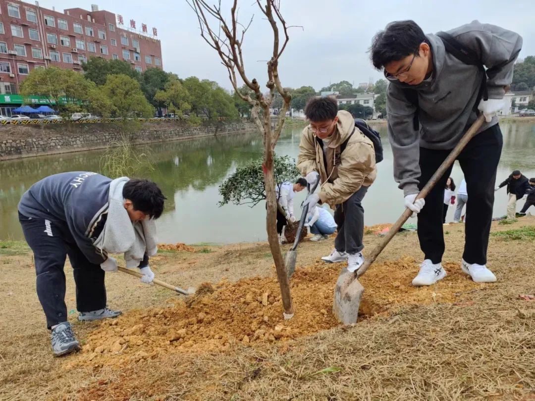 bevictor伟德官网