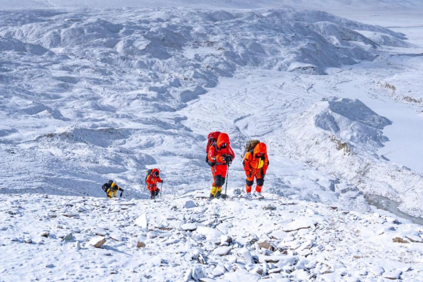 bevictor伟德官网