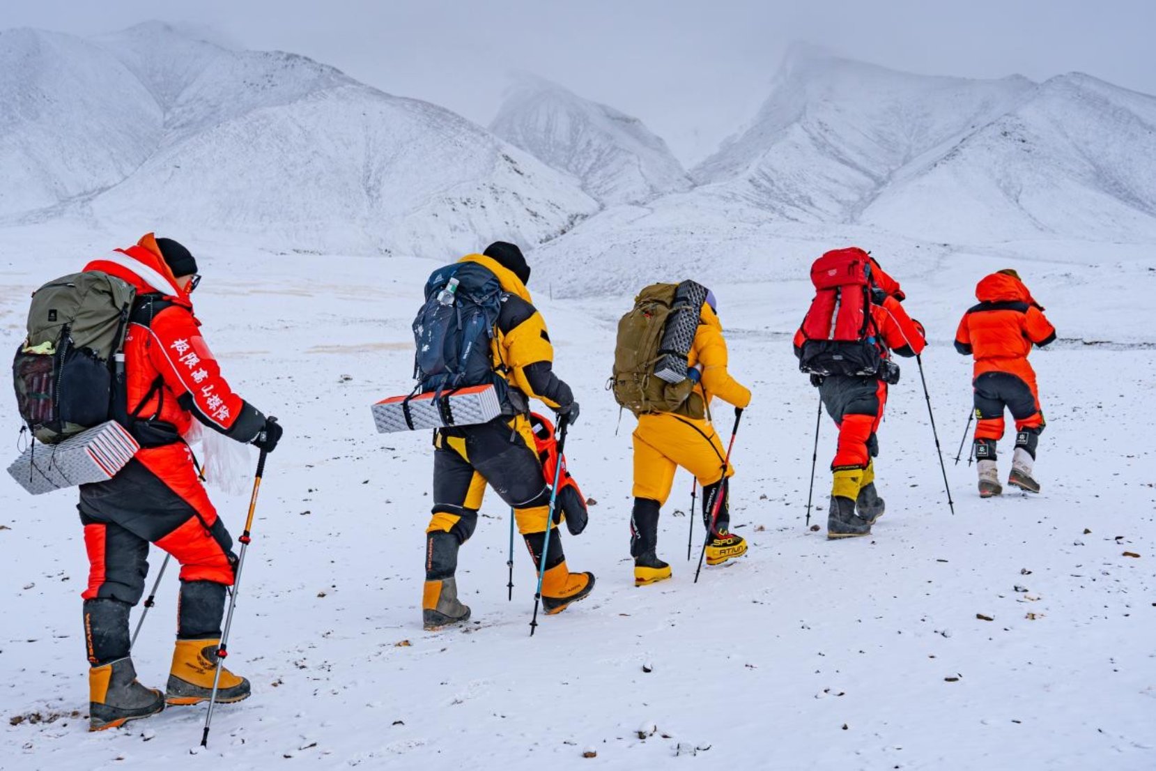 bevictor伟德官网