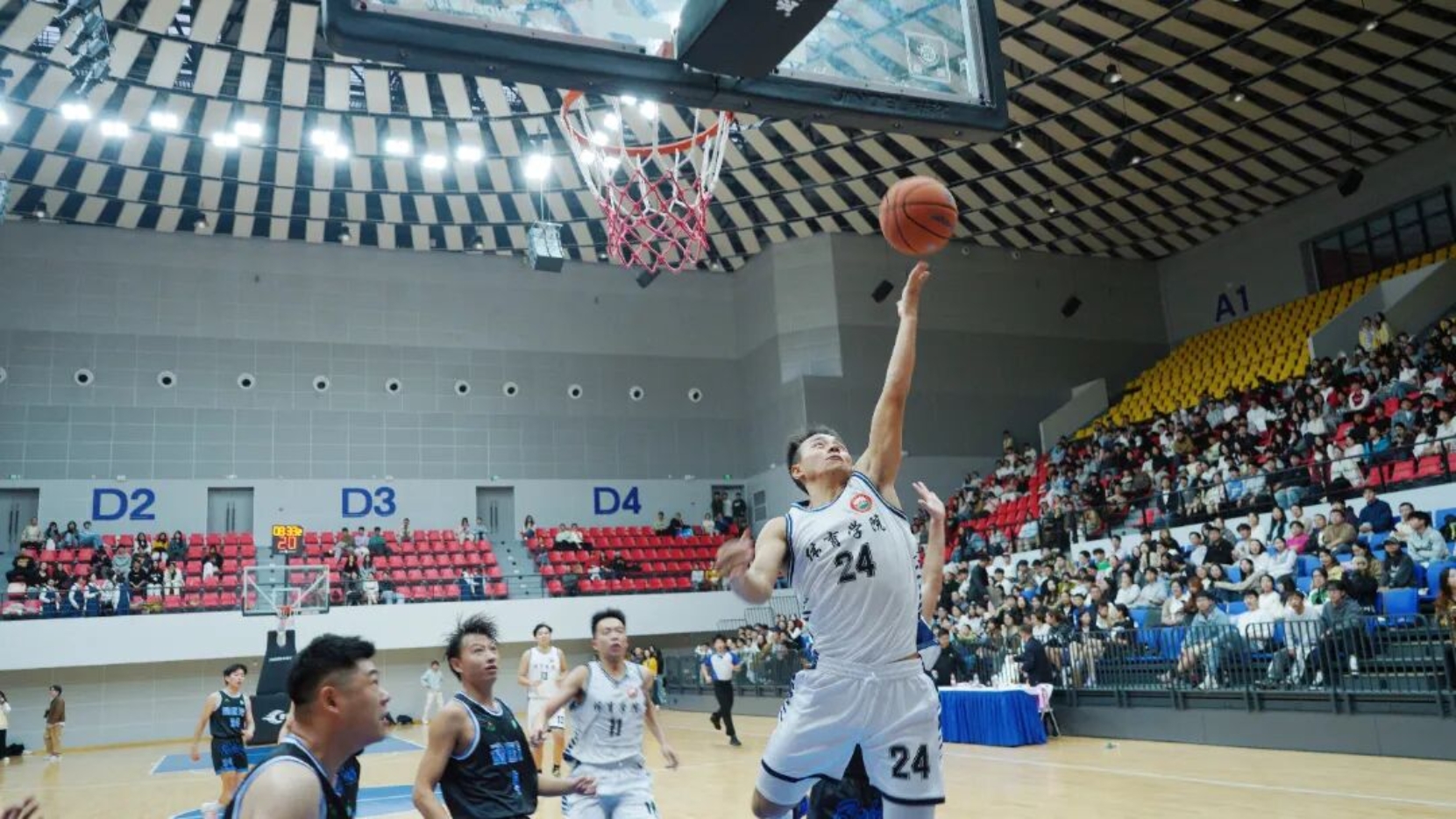 bevictor伟德官网