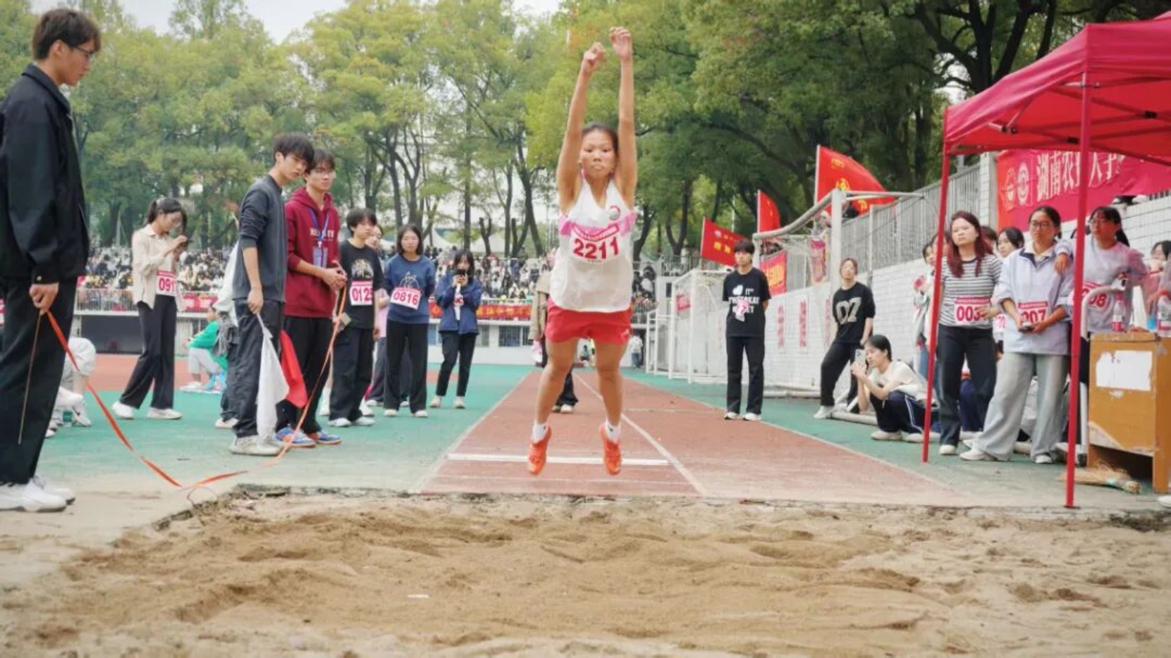 bevictor伟德官网