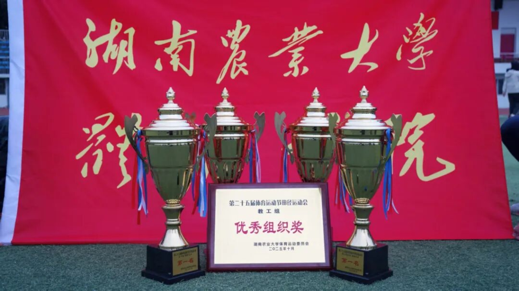 bevictor伟德官网