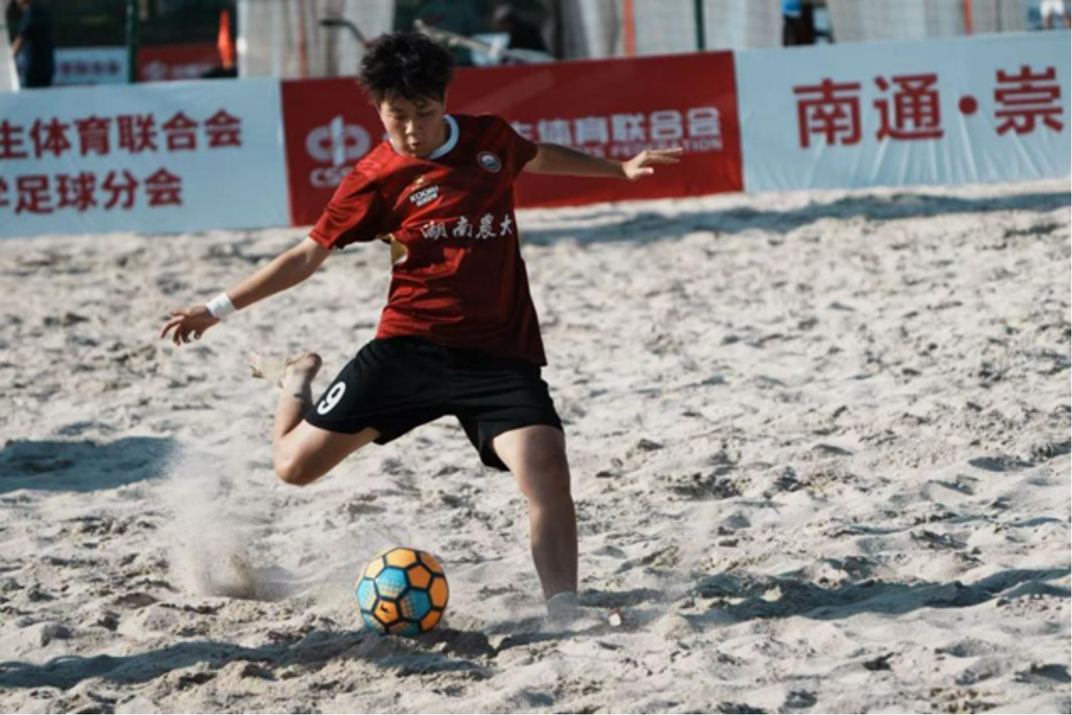 bevictor伟德官网