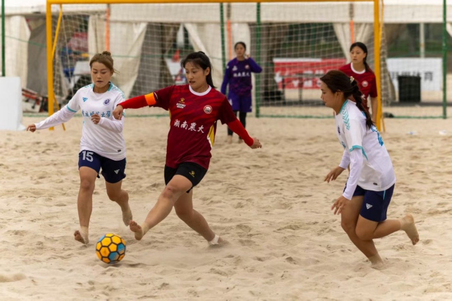 bevictor伟德官网