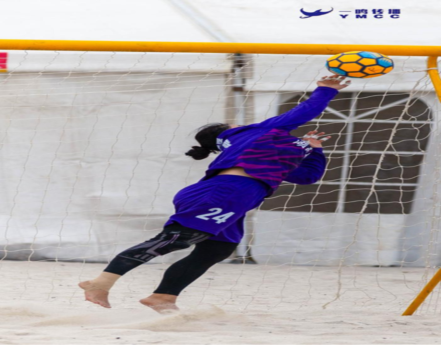 bevictor伟德官网