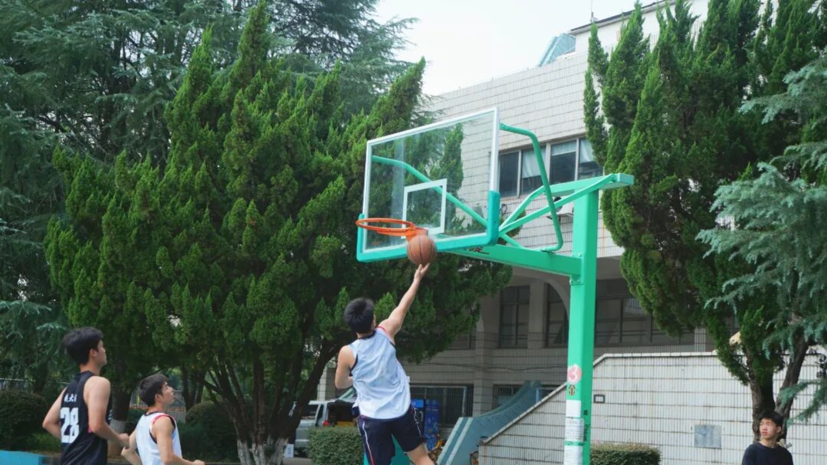 bevictor伟德官网