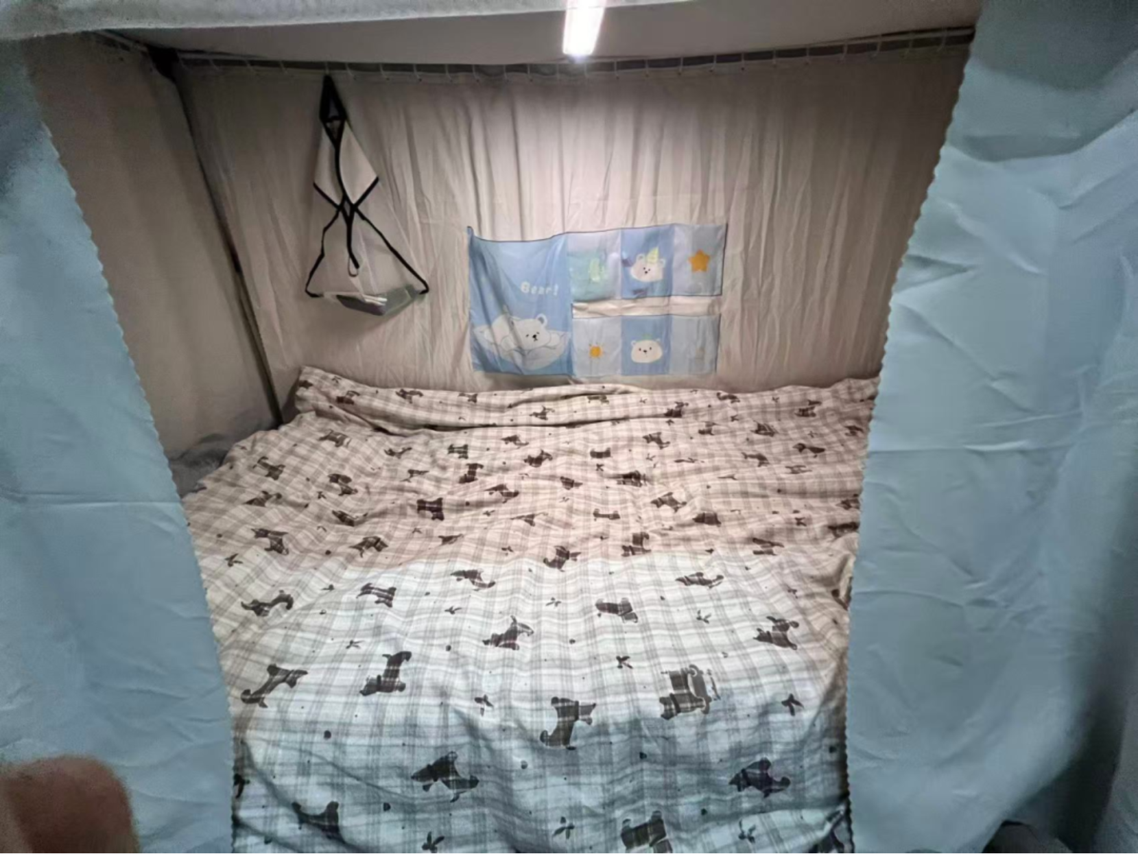 bevictor伟德官网