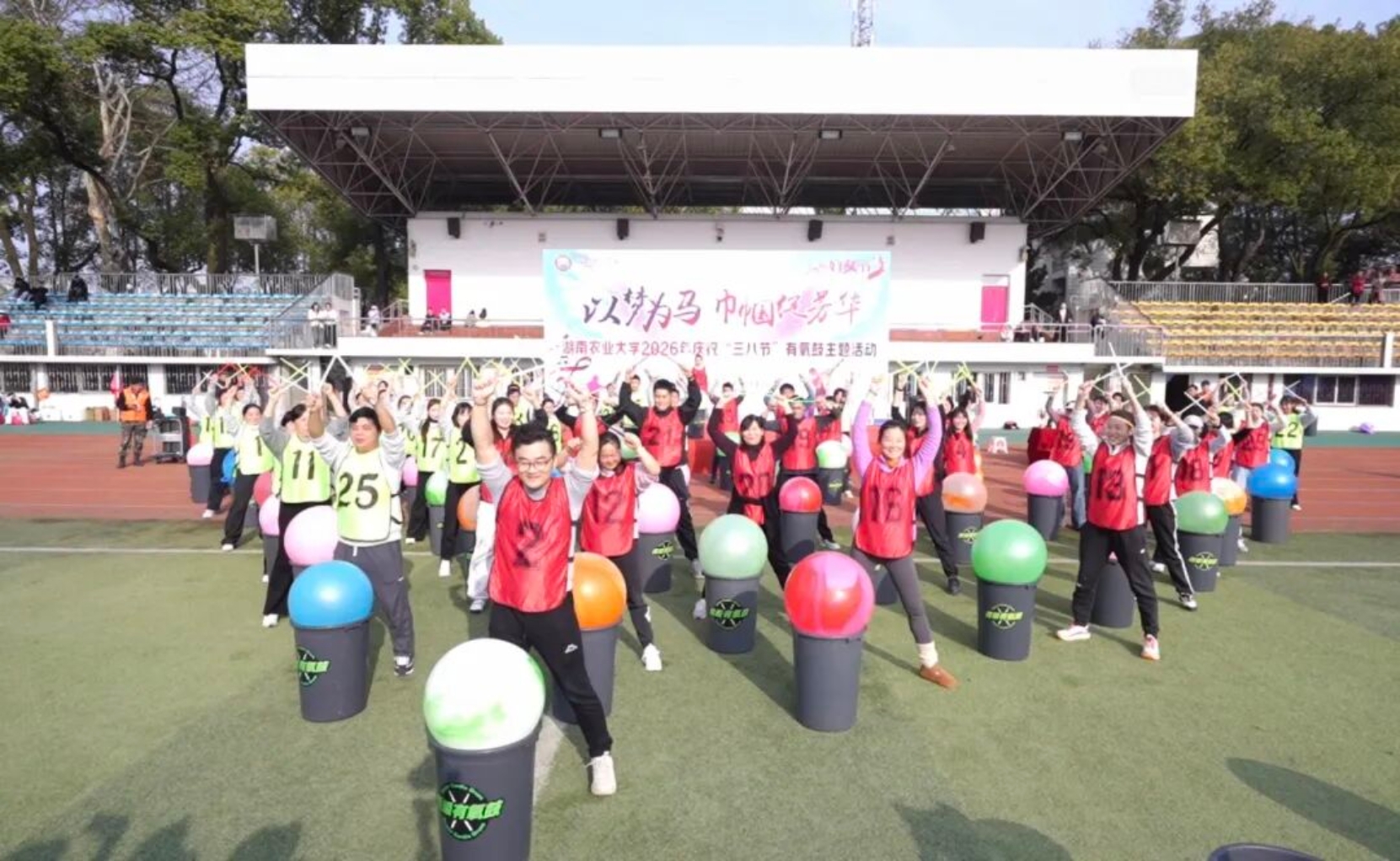 bevictor伟德官网