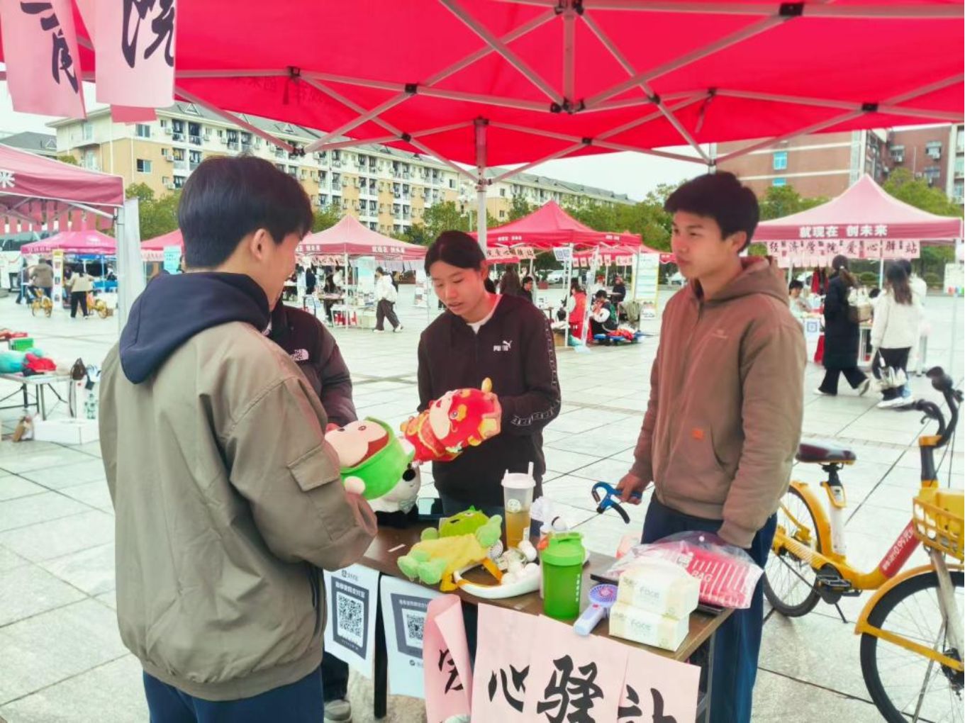 bevictor伟德官网