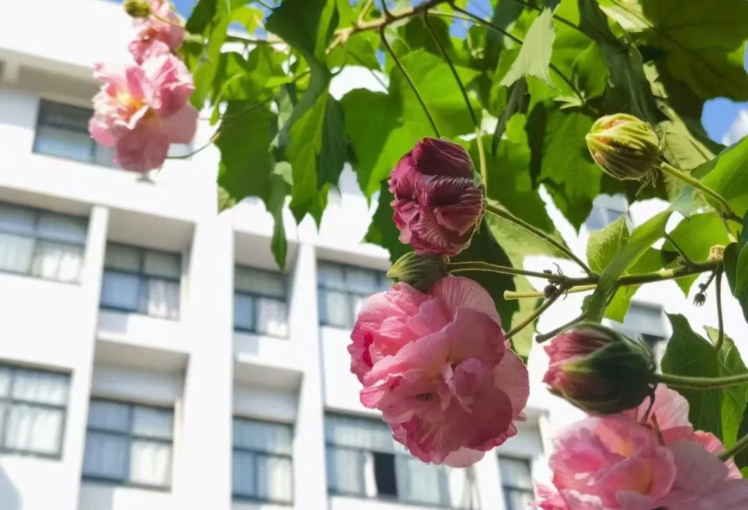 bevictor伟德官网