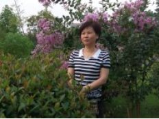 bevictor伟德官网