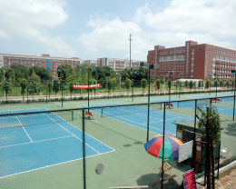 bevictor伟德官网